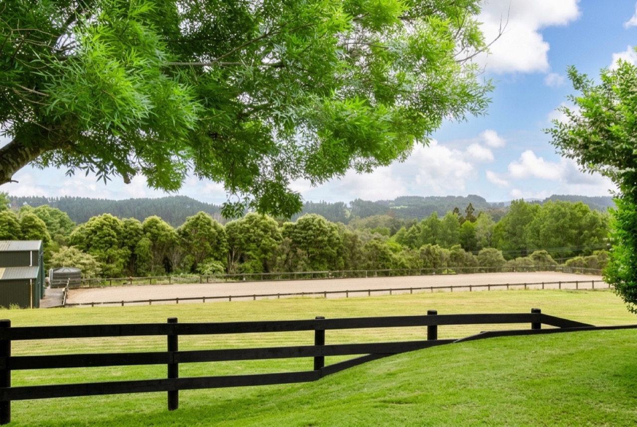 60x20m all-weather sand dressage arena framed by weeping willow branches and post-and-rail fencing