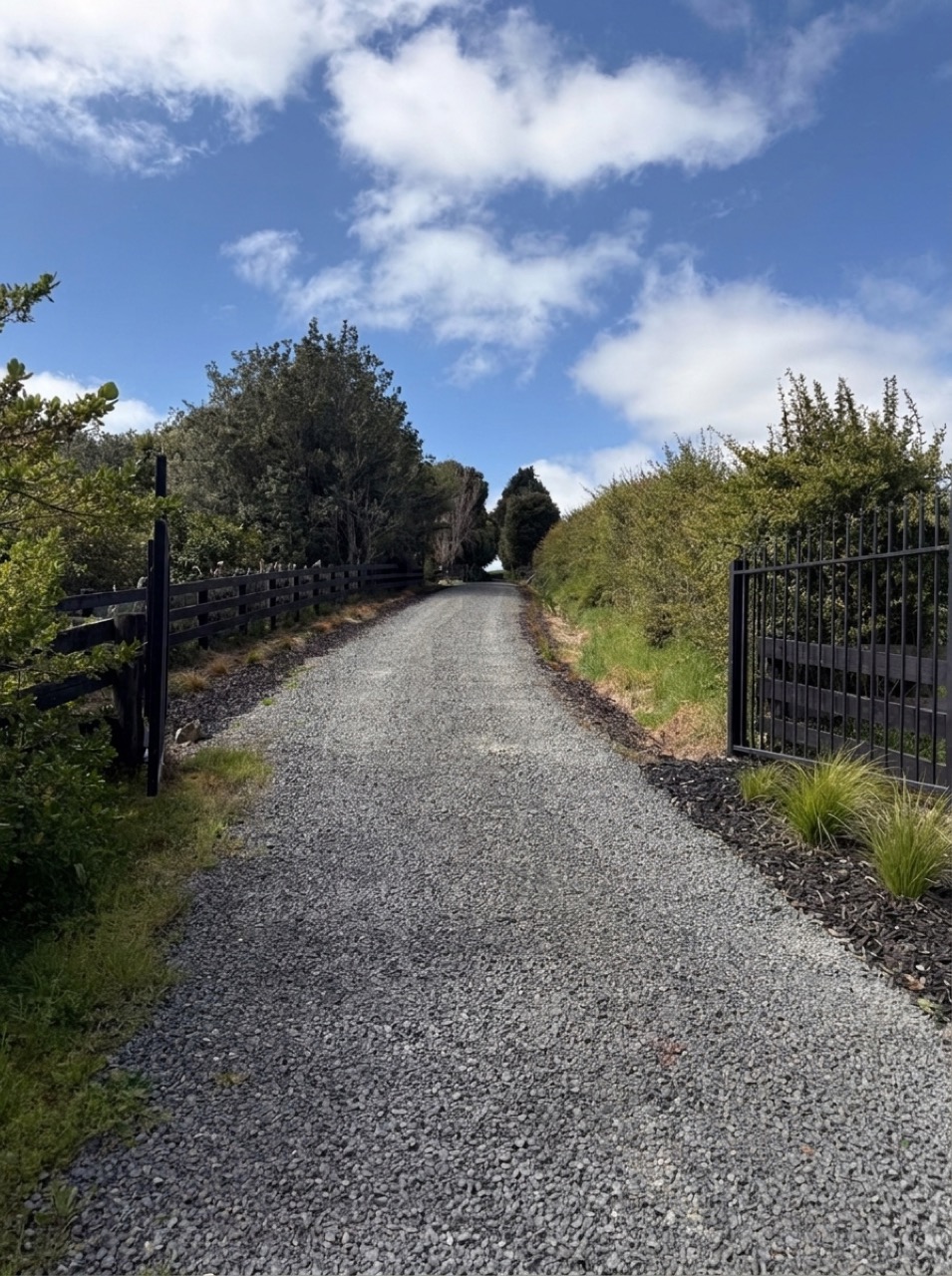 Automated security gate and gravel country driveway bordered by black bark mulch and Carex testacea
