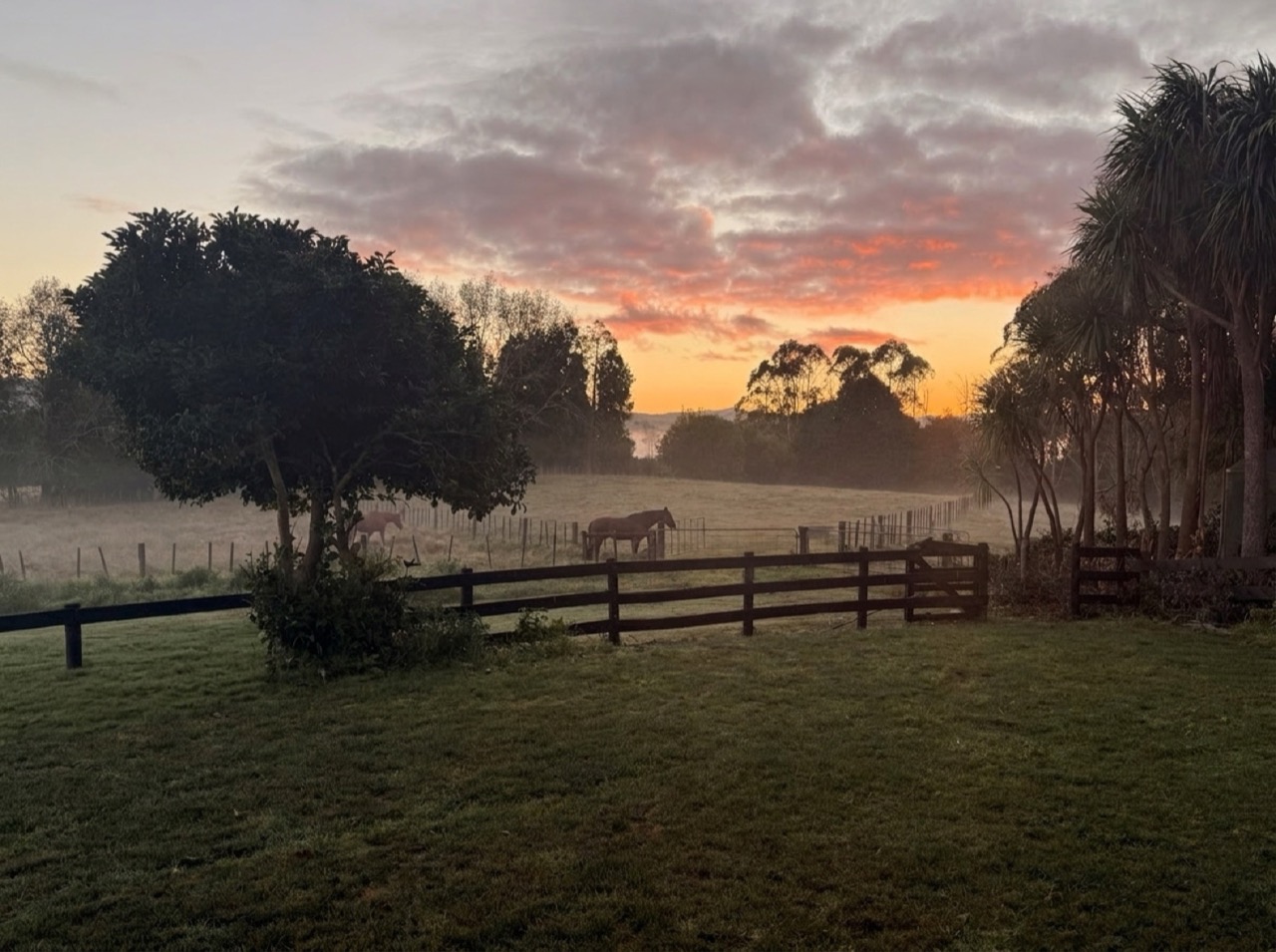 Wide sunrise mist view of horses grazing in the post-and-rail paddock